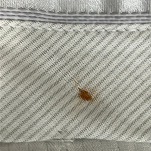 Santorelli With Loro Piana Fabric Wool Dress Pants in Charcoal - Size 36 Hemmed - Picture 7 of 7